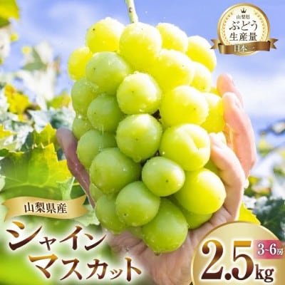 朝採れシャインマスカット 2.5kg (3～6房) 山梨県甲州市【令和7年産 先行受付】数量限定
