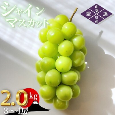 【2026年発送 先行受付】山梨県甲州市産 朝採れ シャインマスカット 2.0kg (3～4房)