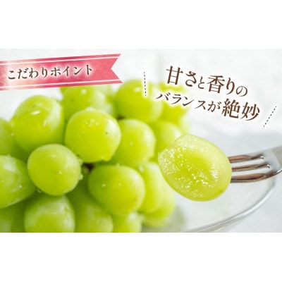 【2026年発送 先行受付】山梨県甲州市産 朝採れ シャインマスカット 2.0kg (3～4房)