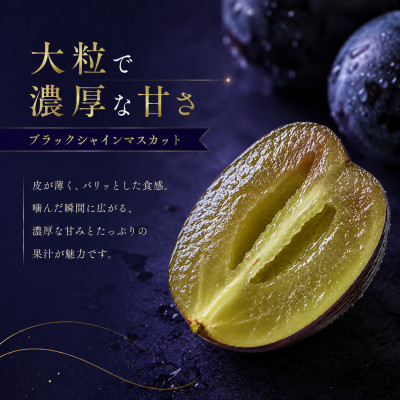 【2026年発送】富士の輝き ブラックシャインマスカット 700g以上(1房)【山梨県産】
