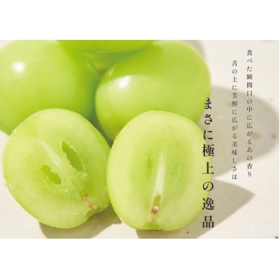 <2025年先行受付>甲州市産 大粒シャインマスカット 1房(約700g)