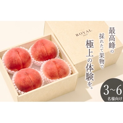 <2025年先行受付>甲州市産 大玉 桃 4個(約1.5kg)