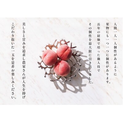 <2025年先行受付>甲州市産 ご家庭用 桃 約3kg(5～8個)