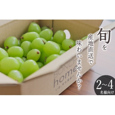 <2025年先行受付> 甲州市産 粒詰めシャインマスカット 約1kg