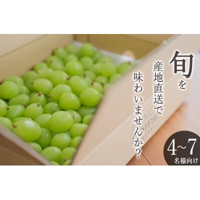 <2025年先行受付>甲州市産 粒詰めシャインマスカット 約2kg