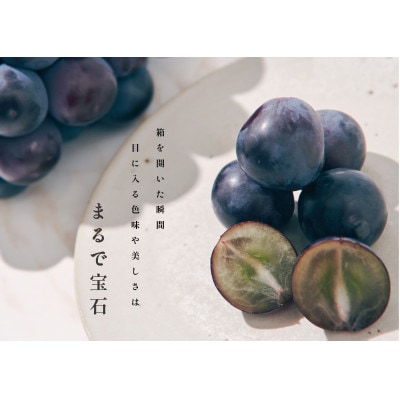 【先行予約2025年】甲州市産 種無し大粒ピオーネ2房入り　約1.1kg