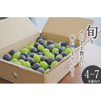 【先行予約2025年】甲州市産 粒詰めブドウMIX(シャインマスカット×ピオーネ) 約2kg