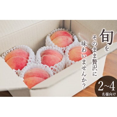 【2026年先行受付】甲州市産  桃 2kg(5～8個入)