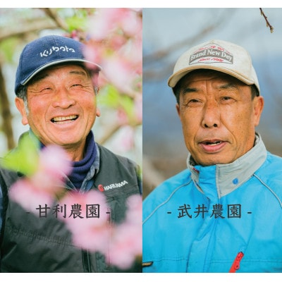 【2026年先行受付】甲州市産  桃 2kg(5～8個入)