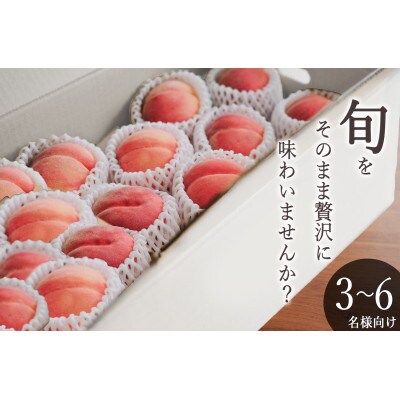 【2026年先行受付】甲州市産 桃 5kg(11～14個)