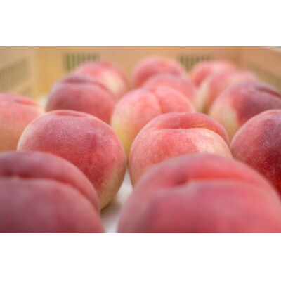 【2026年先行受付】甲州市産 桃 5kg(11～14個)