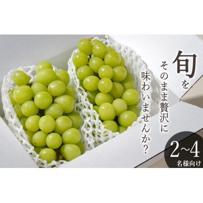 【先行予約2026年】甲州市産 シャインマスカット 2房入(約1.1kg)