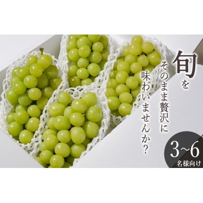 【先行予約2026年】甲州市産 シャインマスカット 4~5房入(約2.2kg)