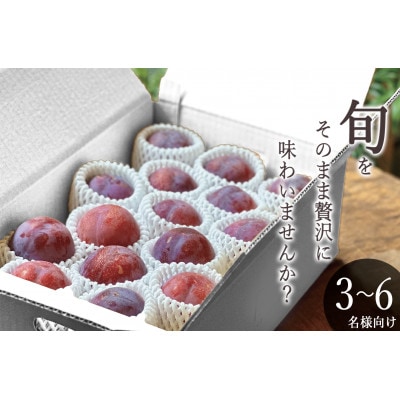 【先行予約2026年】甲州市産 貴陽 3kg(12～15個入)