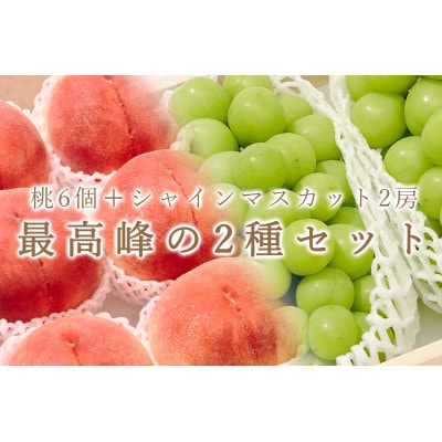 【発送月固定定期便】『2025年先行受付』甲州市自慢の大玉桃と大粒シャインマスカット 全2回