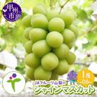 JAフルーツ山梨 甲州市産シャインマスカット 1房【60】B-107