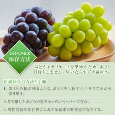 【先行受付】【数量限定】高品質なROOTS FARMシャインマスカット 1.5kg以上 2～3房入