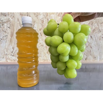【2025年発送先行受付】【数量限定】シャインマスカット希少な3Lサイズ　1.6kg以上2房入