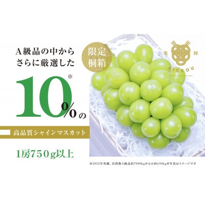 【2025年発送先行受付】「亀輝」最高級シャインマスカット1房750g以上【桐箱入り】山梨県甲州市産
