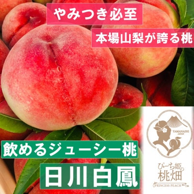 【たっぷり果汁溢れる日川白鳳】桃通が嗜む本場山梨桃の品種指定キャンペーン1kg　6月下旬より順次発送