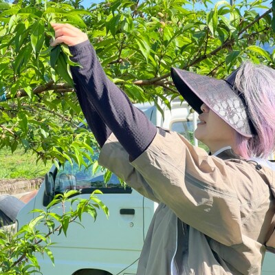 【たっぷり果汁溢れる日川白鳳】桃通が嗜む本場山梨桃の品種指定キャンペーン2kg　6月下旬より順次発送