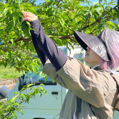 【瑞々しい夢みずき】山梨オリジナル桃ココだけの人気品種指定キャンペーン1kg2025年7月中旬～発送