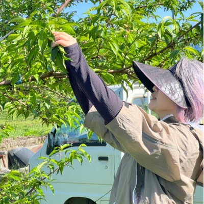 【むっちり新食感夢桃香】山梨限定ハマる人続出の人気品種指定キャンペーン1kg2025年7月上旬～発送