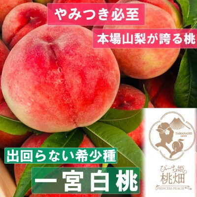 【市場になかなか出回らない超希少な一宮白桃】人気品種指定キャンペーン1kg2025年7月下旬～発送