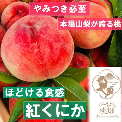【なめらかな紅くにか】くちどけホロホロ触感の人気品種指定キャンペーン2kg　2025年8月上旬～発送