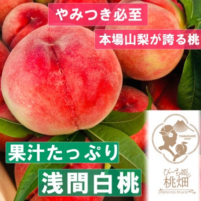 【果汁たっぷり浅間白桃】桃通がこぞって選ぶ隠れ人気の品種指定キャンペーン2kg　7月中旬より順次発送
