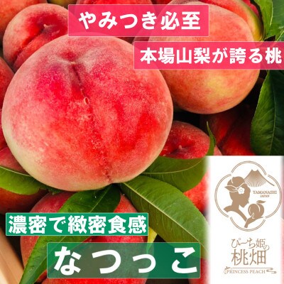 【濃厚緻密なつっこ】もっちり触感がクセになる人気品種指定キャンペーン1kg　2025年7月下旬～発送