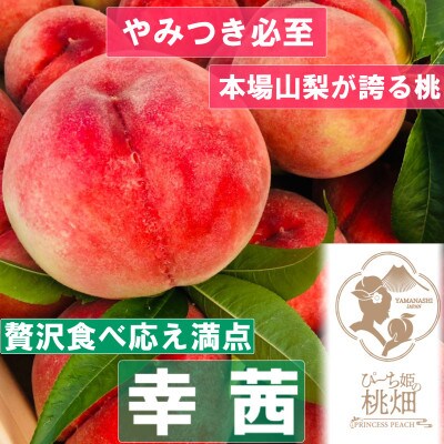 【食べ応え満点な幸茜】桃好きも満足な人気品種指定キャンペーン2kg　2025年8月中旬～発送