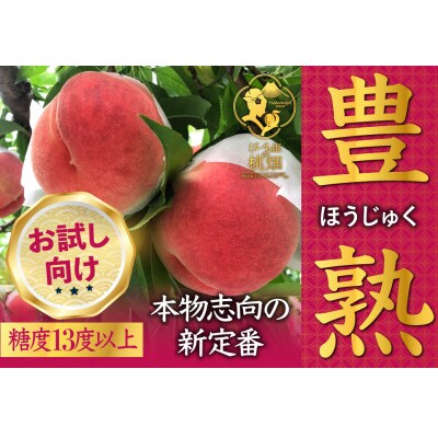 【白桃累計20,000件突破】本場山梨でしか味わえない熟桃『豊熟桃』約1kg