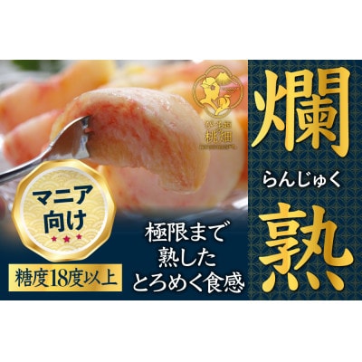 白桃熟桃☆桃の激戦区山梨が誇る超希少な幻の爛熟ブランド桃約1.5kg