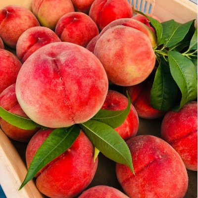 白桃熟桃☆桃の激戦区山梨が誇る超希少な幻の爛熟ブランド桃約1.5kg