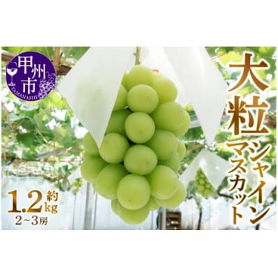 【2025年8月下旬より発送予定】甲州市産厳選大粒シャインマスカット約1.2kg(計2～3房)