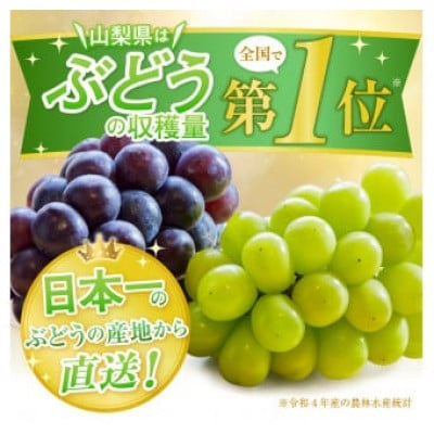 【2025年8月下旬より発送予定】甲州市産厳選大粒シャインマスカット約1.2kg(計2～3房)