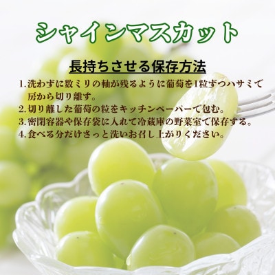 【2025年8月下旬より発送予定】甲州市産厳選大粒シャインマスカット約1.2kg(計2～3房)