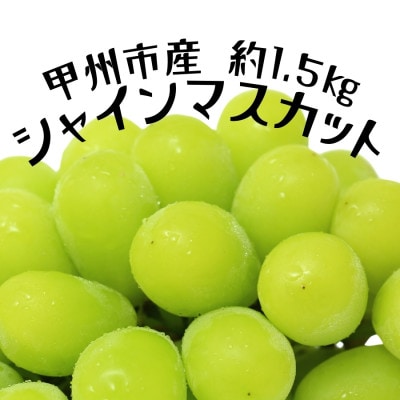 甲州市産厳選旬のシャインマスカット 約1.5kg(2房～3房)