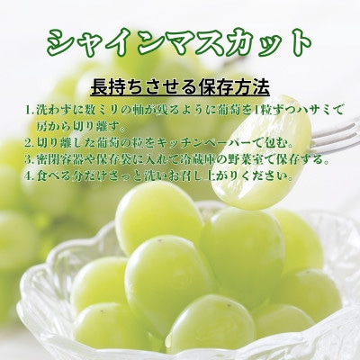 【さとふる限定】【8月下旬より発送予定】甲州市産厳選旬のシャインマスカット 700g以上 1房入
