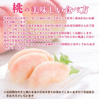 【2025年7月上旬より発送予定】甲州市産厳選旬の桃 約3kg(8玉～12玉入り)