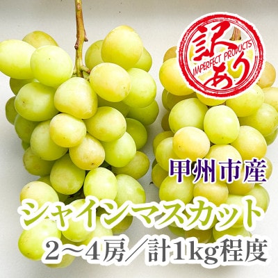 �󂠂�@�V���C���}�X�J�b�g2�`4�[(���v1kg���x)