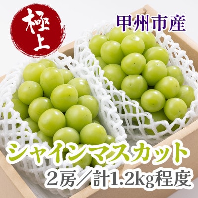 極上!　山梨県産シャインマスカット2房(合計1.2kg程度)