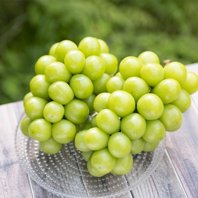 極上!　山梨県産シャインマスカット2房(合計1.2kg程度)