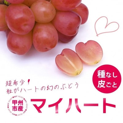 【2025年発送】厳選 マイハート 1房(500g以上)ハート形のかわいい葡萄(IS)B15-457