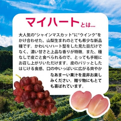 【2025年発送】厳選 マイハート 1房(500g以上)ハート形のかわいい葡萄(IS)B15-457