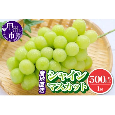 【2025年発送】池田青果 厳選 シャインマスカット 1房(500g以上) (IS)A08-466