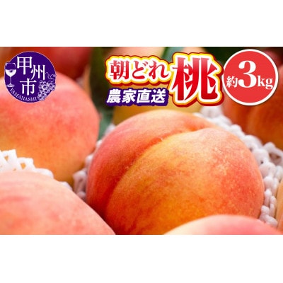 【2025年発送】池田青果 朝どれ 大玉 桃 約3kg(7～11玉) 農家直送(IS)B15-456