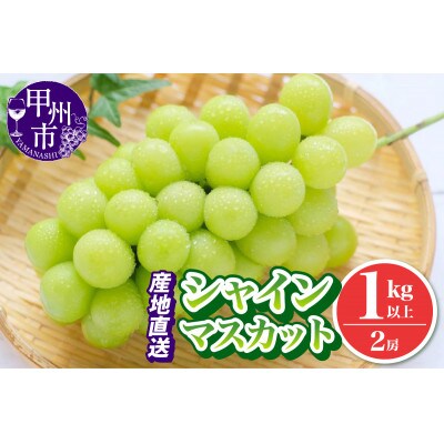【2025年発送】池田青果 厳選 シャインマスカット 2房(計1kg以上) (IS)A09-466
