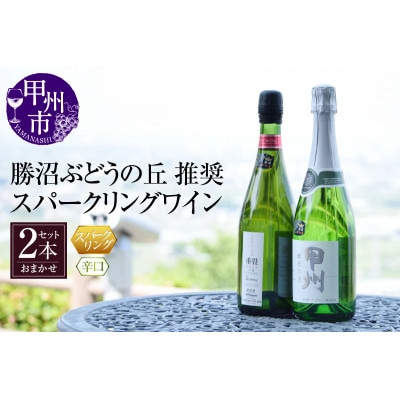 勝沼ぶどうの丘推奨スパークリングワイン辛口2本セット B2-604
